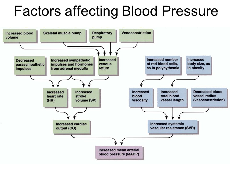 Blood Pressure Physiology And Haemodynamics - Student Nurse Life