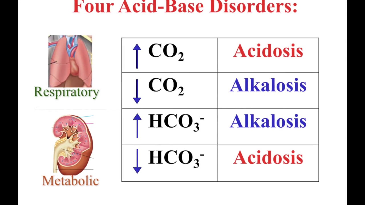 Respiratory Acidosis Archives - Student Nurse Life