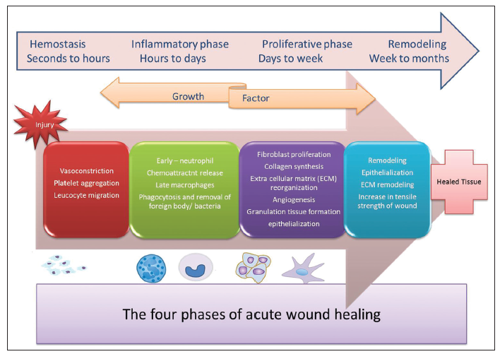 Wound Care In Nursing Practice - Student Nurse Life