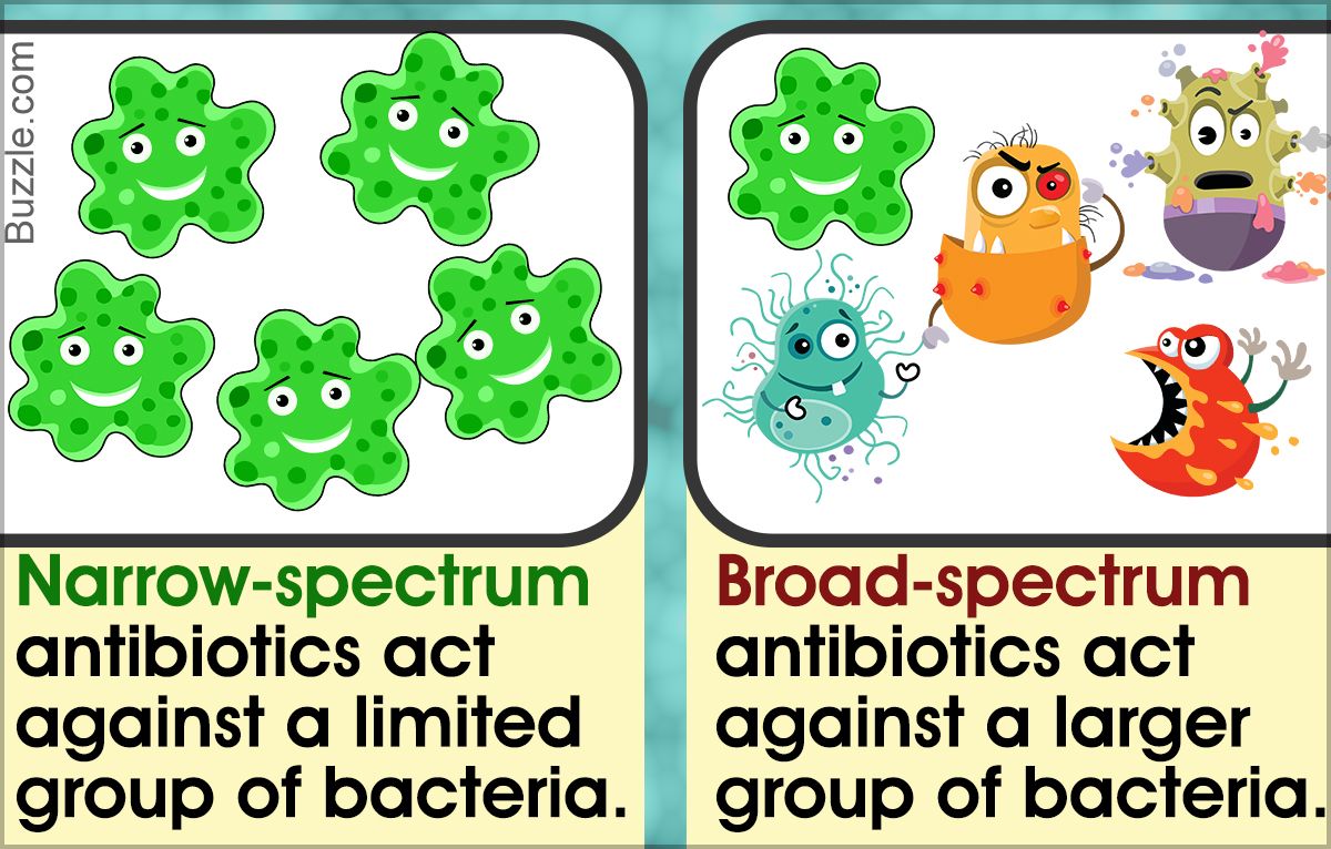 Antibiotic Resistance And Antimicrobial Stewardship - Student Nurse Life